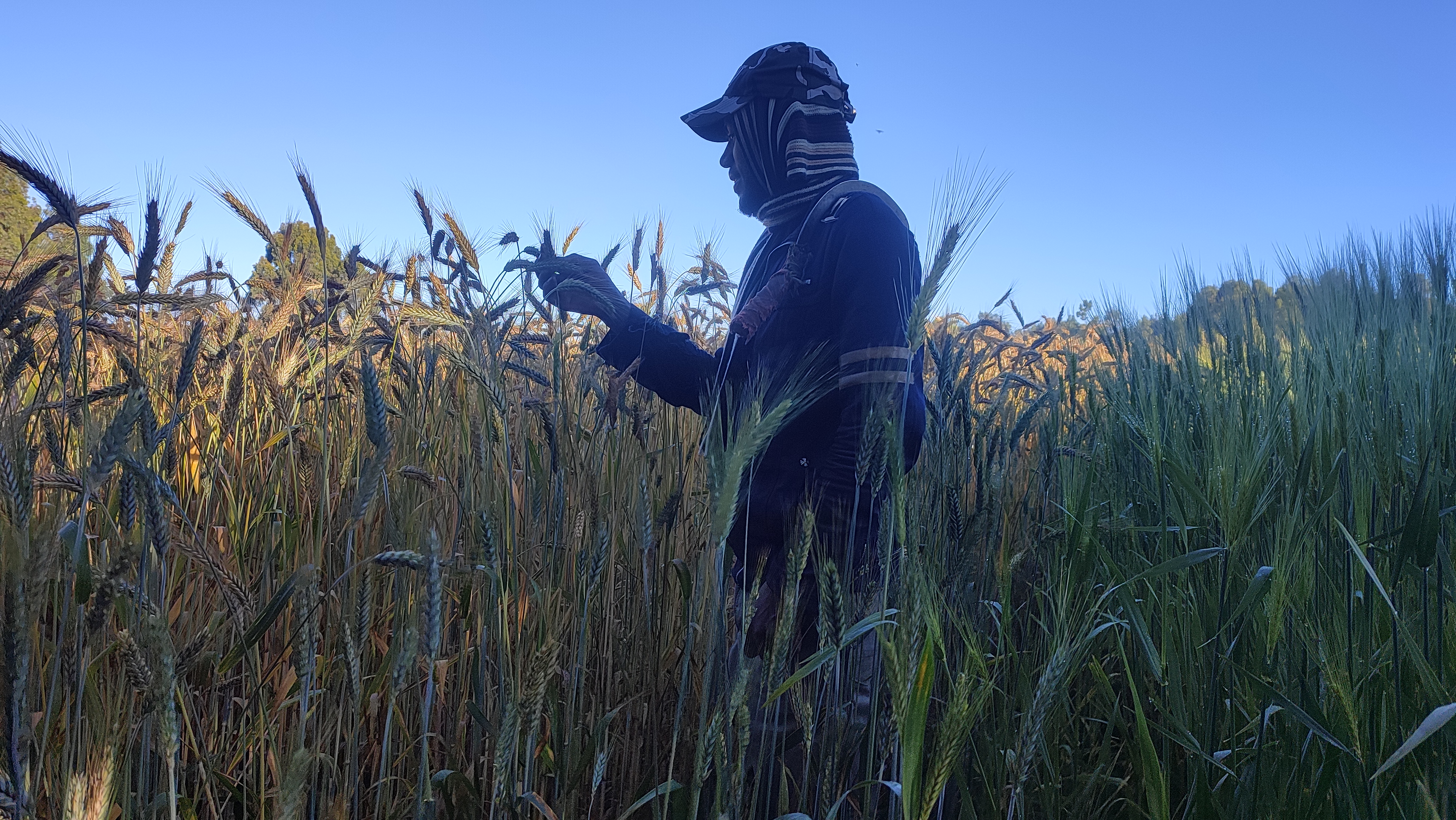 Village Trade Center with solar